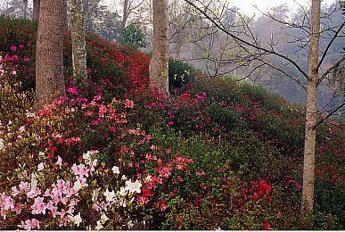 《赛博朋克 2077》 2.2版上线 角色车辆自定义加强